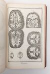 ENCYCLOPÉDIE, OU DICTIONNAIRE RAISONNÉ DES SCIENCES, DES ART ET DES MÉTIERS, PAR UNE SOCIÉTÉ DE GENS DE LETTRES. [28 Volumes, Complete]