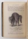 THE EXPRESSION OF THE EMOTIONS IN MAN AND ANIMALS