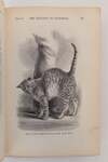 THE EXPRESSION OF THE EMOTIONS IN MAN AND ANIMALS