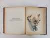 ILLUSTRATIONS OF SYPHILITIC DISEASE. TRANSLATED FROM THE FRENCH, WITH THE ADDITION OF A HISTORY OF SYPHILIS, AND A COMPLETE BIBLIOGRAPHY AND FORMULARY OF REMEDIES. WITH FIFTY LARGE QUARTO PLATES, COMPRISING 117 BEAUTIFULLY COLORED ILLUSTRATIONS