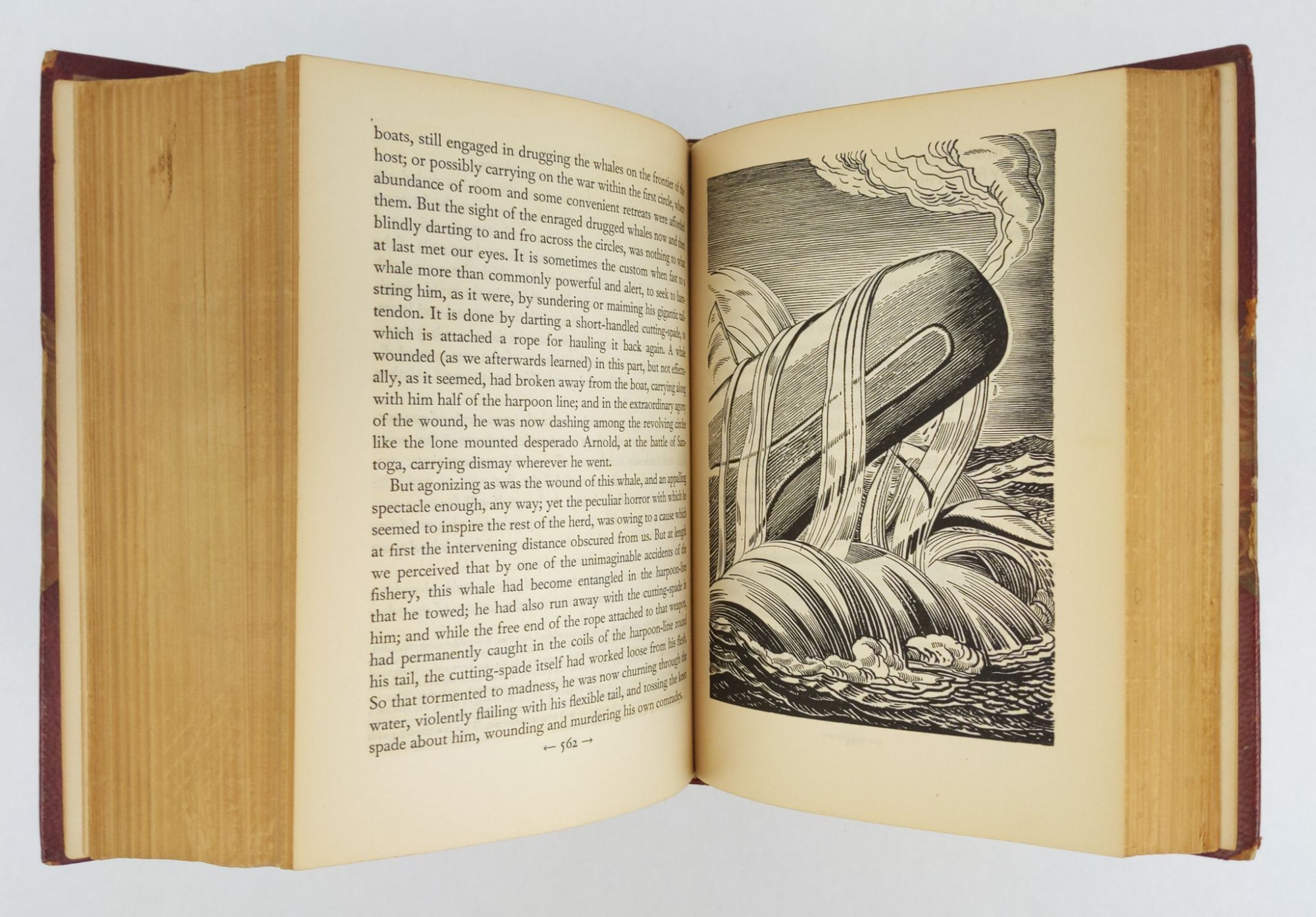 Product Image for MOBY DICK, OR THE WHALE