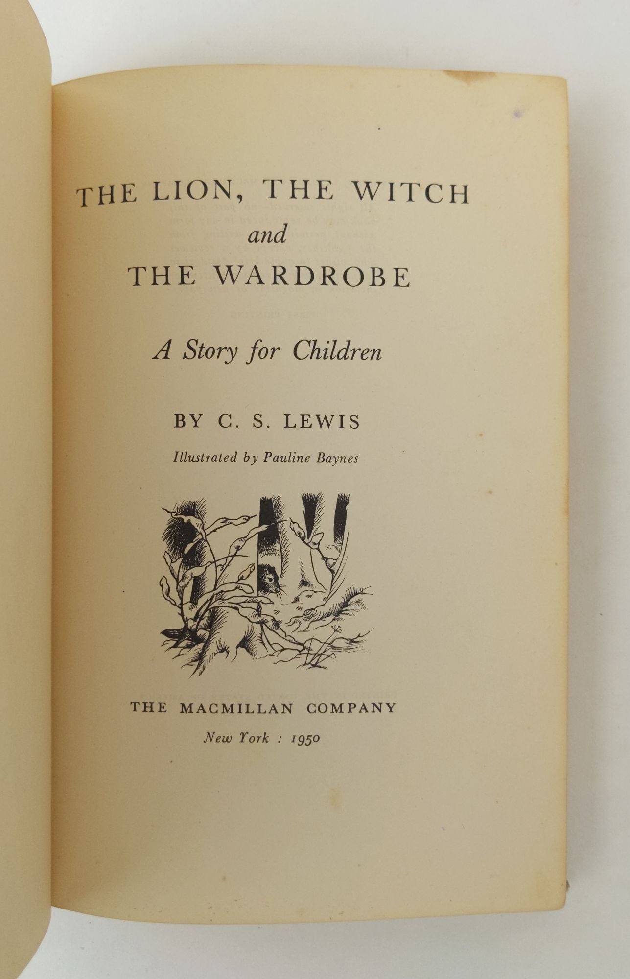 Product Image for THE LION, THE WITCH AND THE WARDROBE