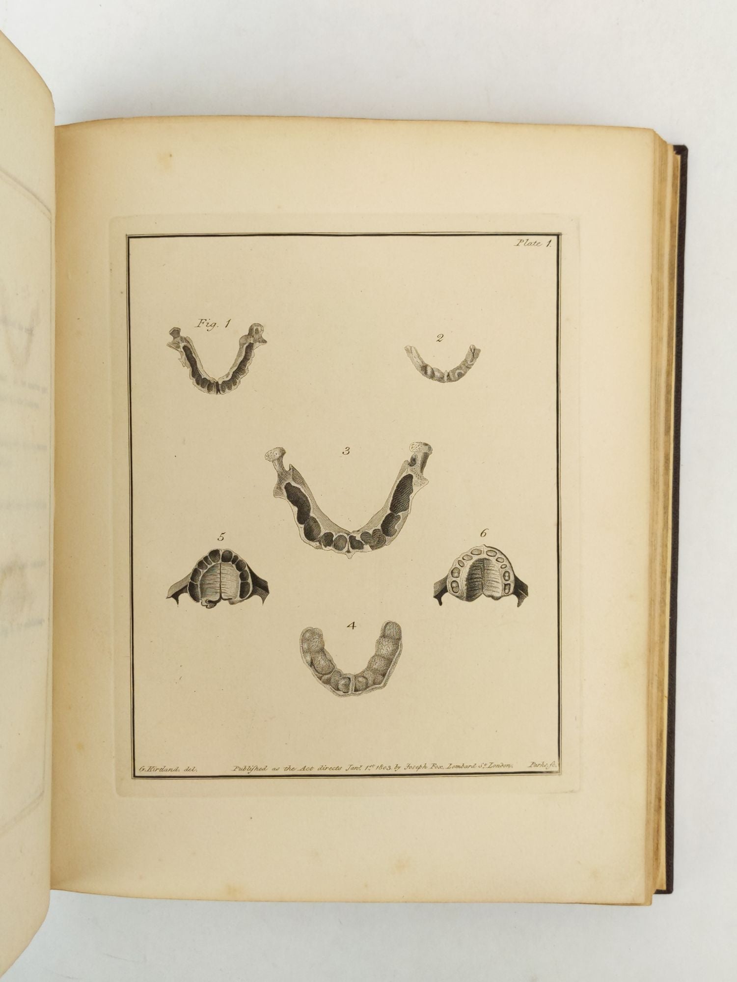 Product Image for THE NATURAL HISTORY OF THE HUMAN TEETH, INCLUDING A PARTICULAR ELUCIDATION OF THE CHANGES WHICH TAKE PLACE DURING THE SECOND DENTITION [...]; [Bound with] THE HISTORY AND TREATMENT OF THE DISEASES OF THE TEETH, THE GUMS, AND THE ALVEOLAR PROCESSES, WITH T