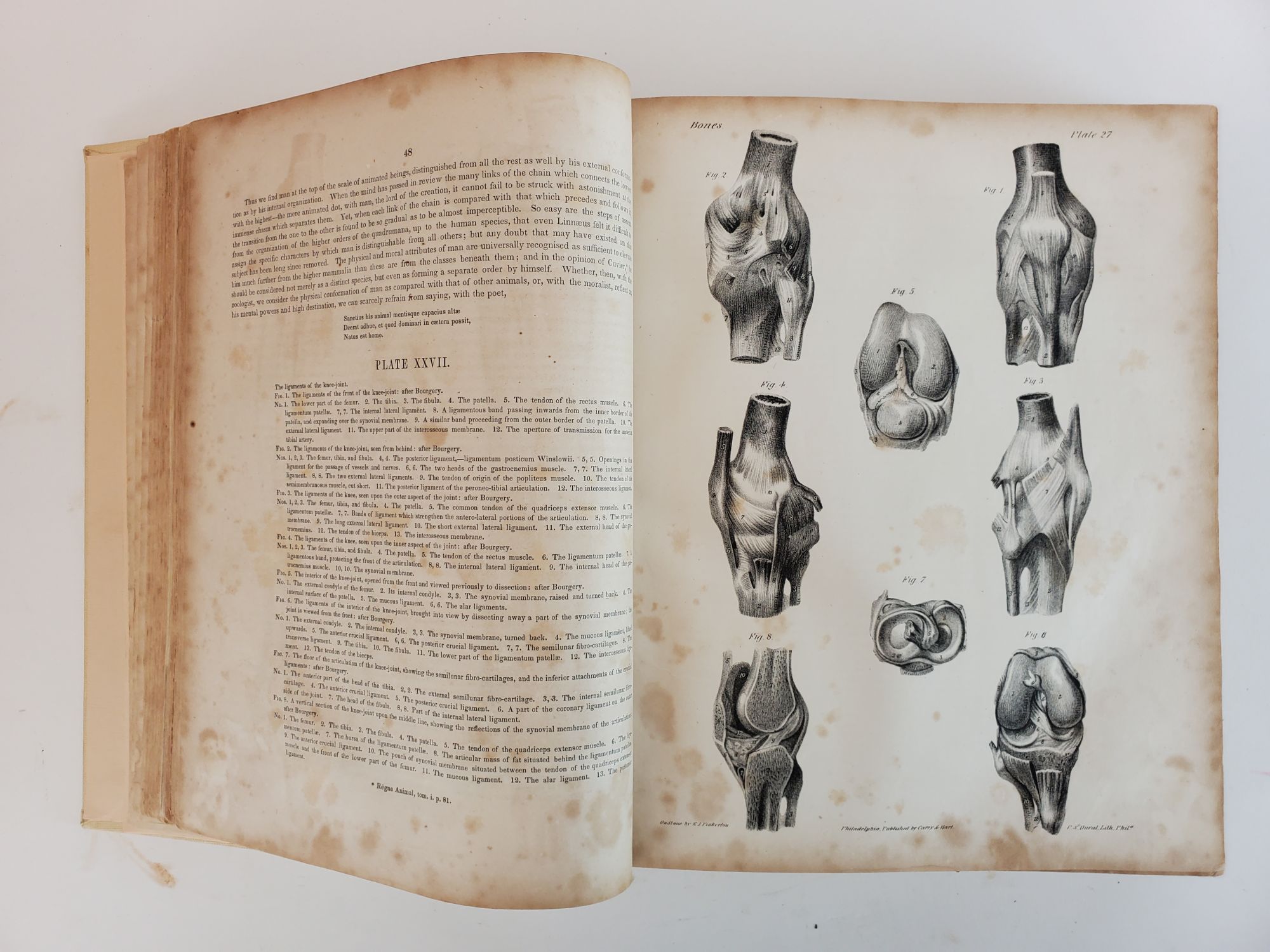 Product Image for A SERIES OF ANATOMICAL PLATES; WITH REFERENCES AND PHYSIOLOGICAL COMMENTS, ILLUSTRATING THE STRUCTURE OF THE DIFFERENT PARTS OF THE HUMAN BODY