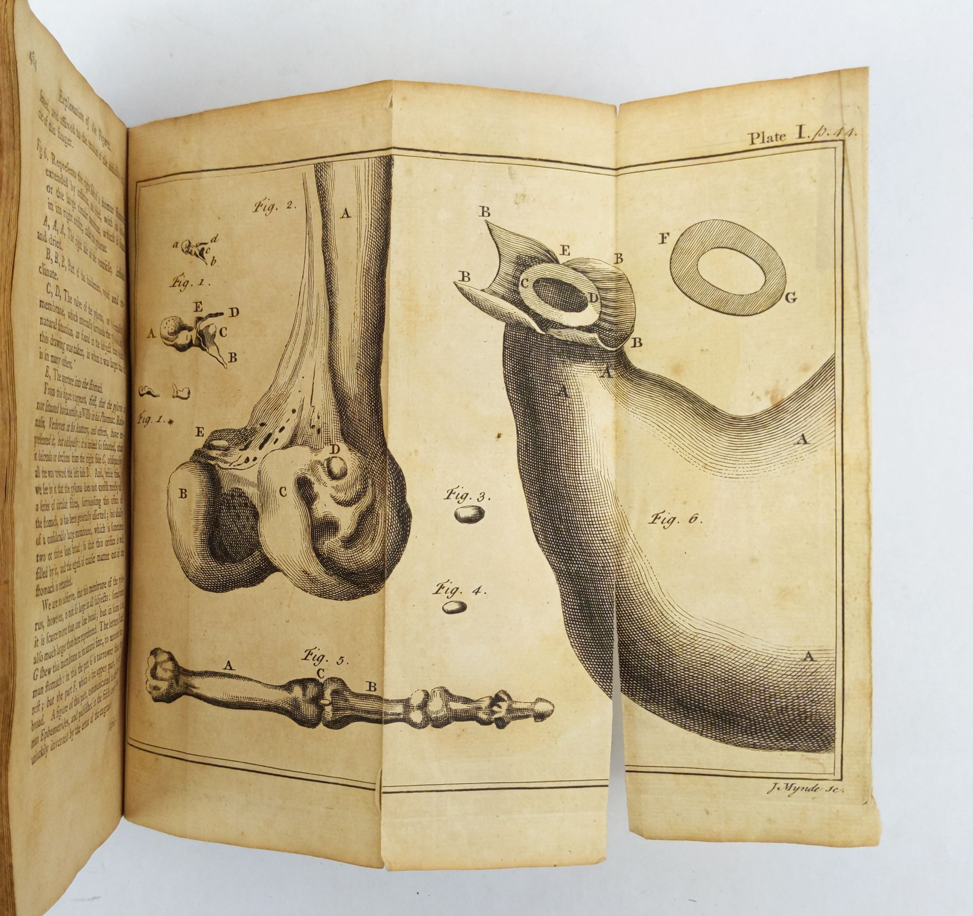 Product Image for A COMPENDIUM OF ANATOMY. IN WHICH ALL THE PARTS OF THE HUMAN BODY ARE SUCCINCTLY AND CLEARLY DESCRIBED; AND THEIR USES EXPLAINED. TRANSLATED FROM THE LAST EDITION OF THE ORIGINAL LATIN: GREATLY AUGMENTED AND IMPROVED BY THE AUTHOR. TO WHICH ARE ADDED, NOT