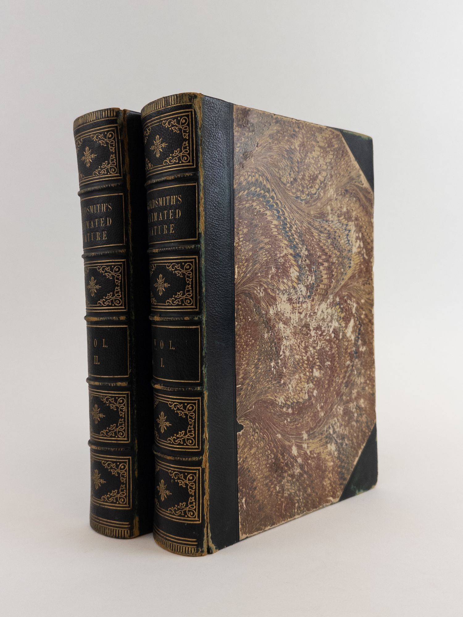 Product Image for A HISTORY OF THE EARTH AND ANIMATED NATURE [Two Volumes]
