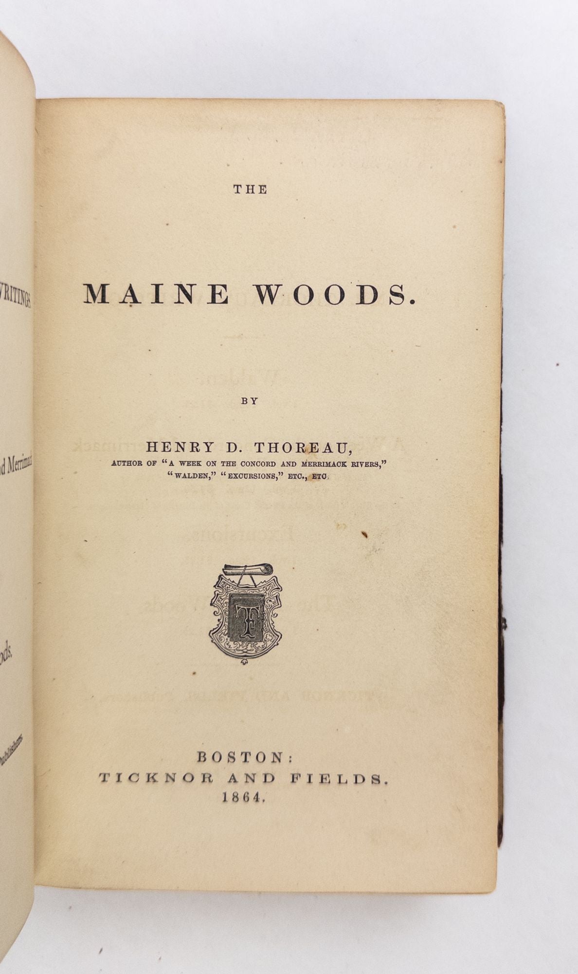 Product Image for THE MAINE WOODS