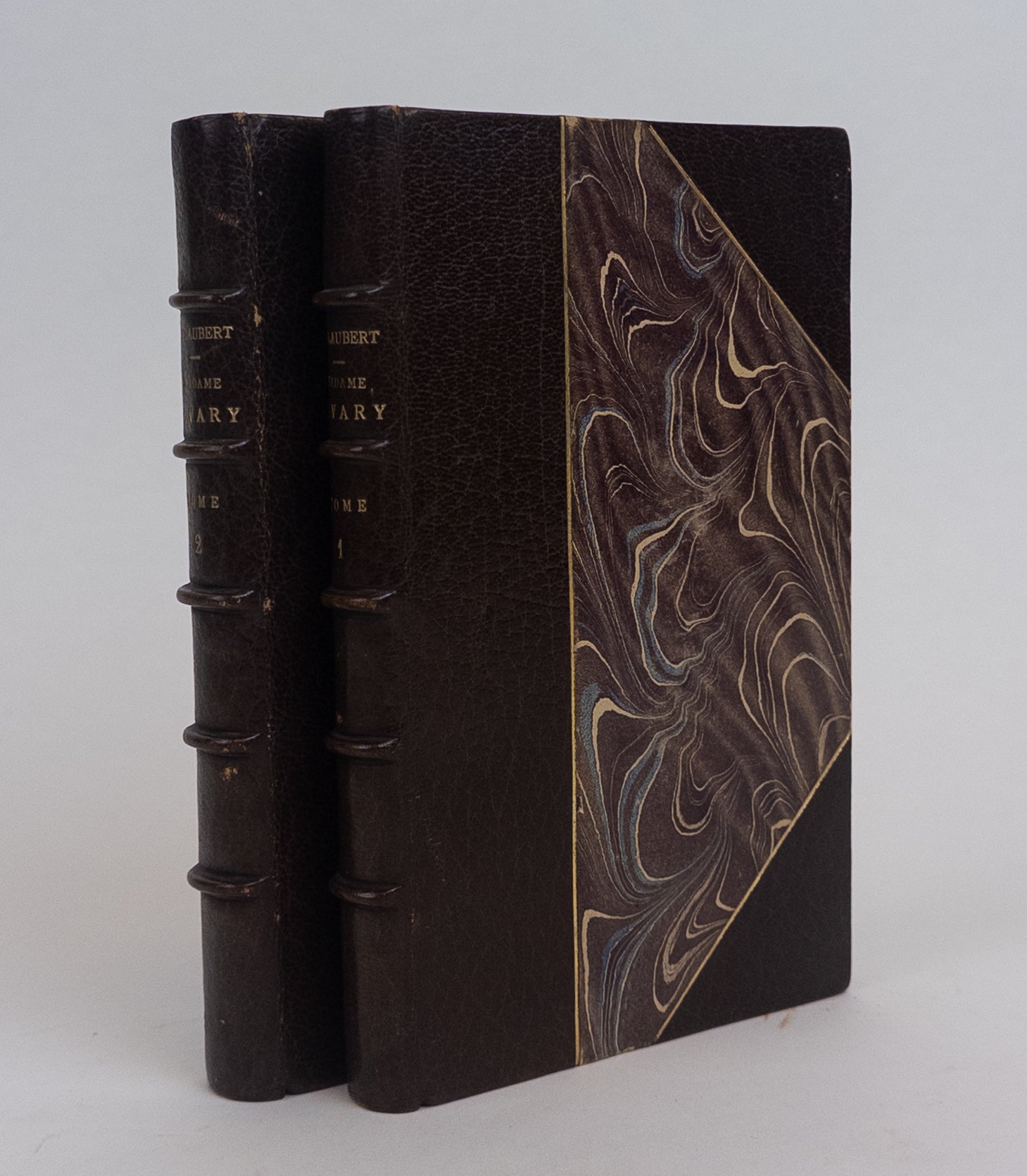 Product Image for MADAME BOVARY [Two volumes]